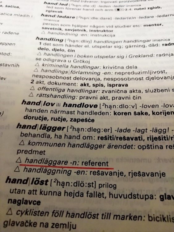 handläggare (2).jpg