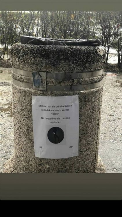 Webp.net-compress-image (1).jpg