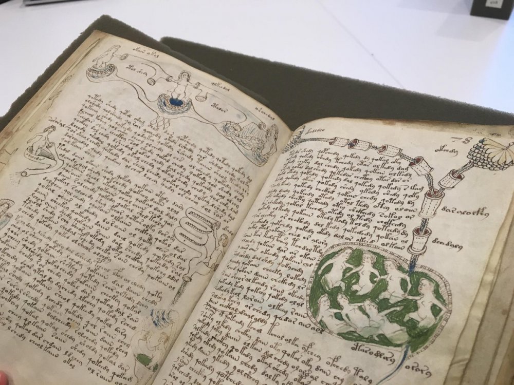 283656625_VoynichManuscript3.thumb.jpg.9df84f5d4bdc7eb38dc966eca01f06b2.jpg