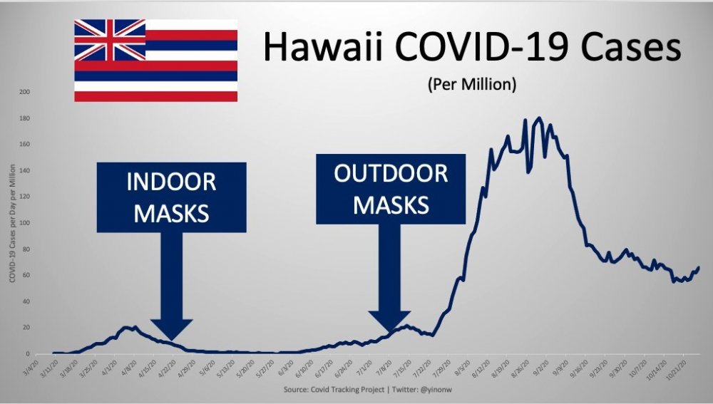 hawaii masks.jpg