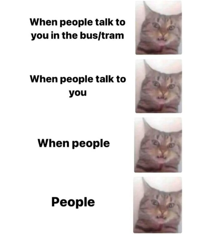 introvertcat.thumb.jpg.72e49654a34dcd9117f2617874546b7f.jpg